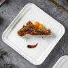 Dirien Ceramic Square Dinner Plate