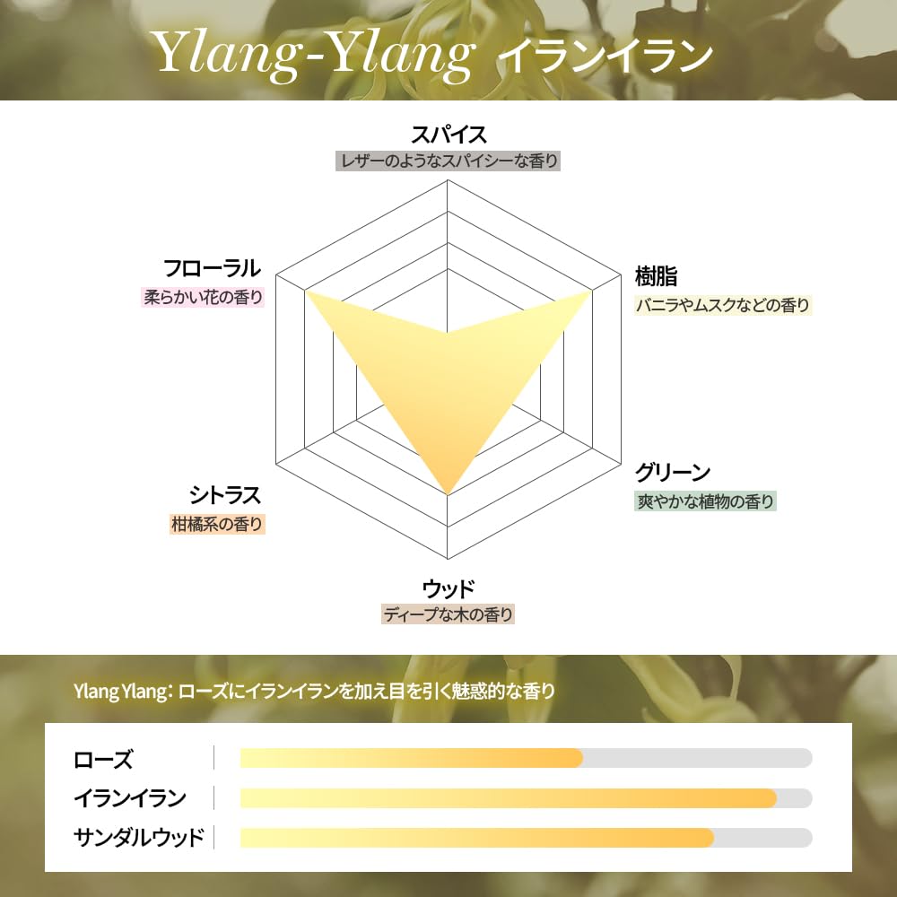 KUNDAL Damage Care Set 500ml Treatment Protein Bonding Shampoo Treatment 2-Pack (Shampoo + 250ml) #YlangYlang #YlangYlang + #YlangYlang