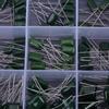 150pcs 100V 15 Value 0.33nF 470nF Polyester Film Capacitors Assortment Kit Box