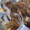 Korean Red Ginseng Root Slices 250g for Herbal Tea