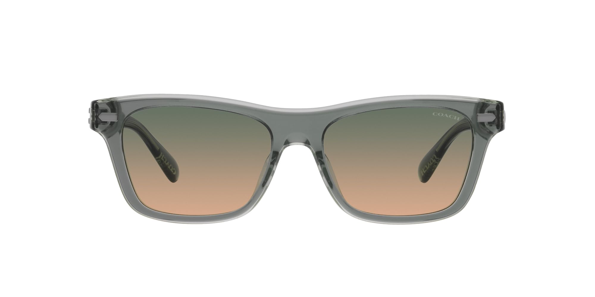 

Sunglasses HC8371U CH583 BEIGE GRADIENT Lens 54 [Coach] MOSS/MINT Frame/GREEN