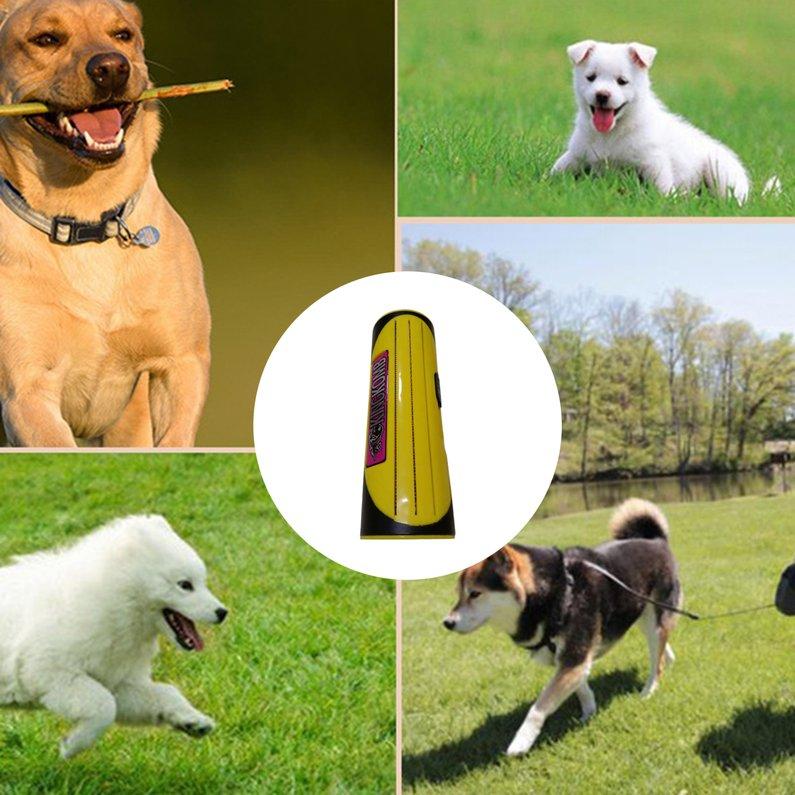 Buy Y3C Pet Dog Hair Comb Lint Cat Cleaning Brush Sofa And Carpet