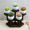 Simulated Succulents Artificial Succulents with Pots,plastic for Desktops, Offices and Decorations - Ideal for Decoration