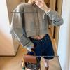 MIU Heavyweight Cotton Embroidered Women's Hoodie