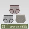 3-Pack Women's Modal Cotton Underwear
