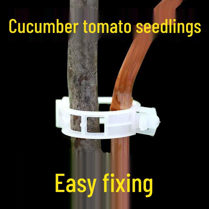 Grafting Clip for Tomato and Cucumber Vines