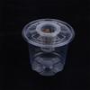 1/5Pcs Visible Clear Plants Germination Cup Transparent Plastic Nursery Growing Box Indoor Garden Greenhouse Seed Starter Tray