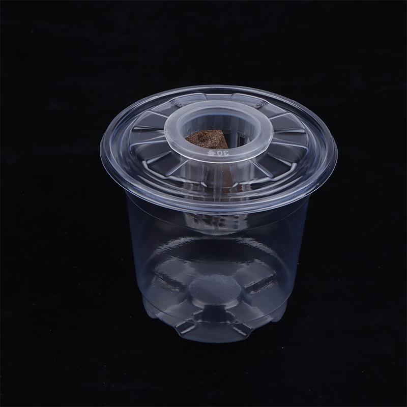 1/5Pcs Visible Clear Plants Germination Cup Transparent Plastic Nursery Growing Box Indoor Garden Greenhouse Seed Starter Tray