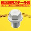 Daytona Motorcycle Replacement Drain Bolt M12 x 12 x P1.5