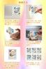 HG CHASING TRIBE Top Loader White Card Hard Case for Trading Regular Individual Collection Scratch Deterioration [Clear 120-Pack] Loader, Cards, Size,