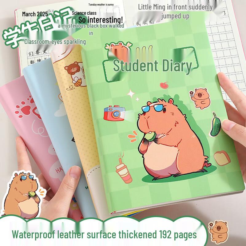 Primary School Student Notebooks & Diaries
