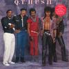 LP Record Q. T. HUSH  Q. T. Hush FE39937 EPIC 1985 US SoulFunk Used