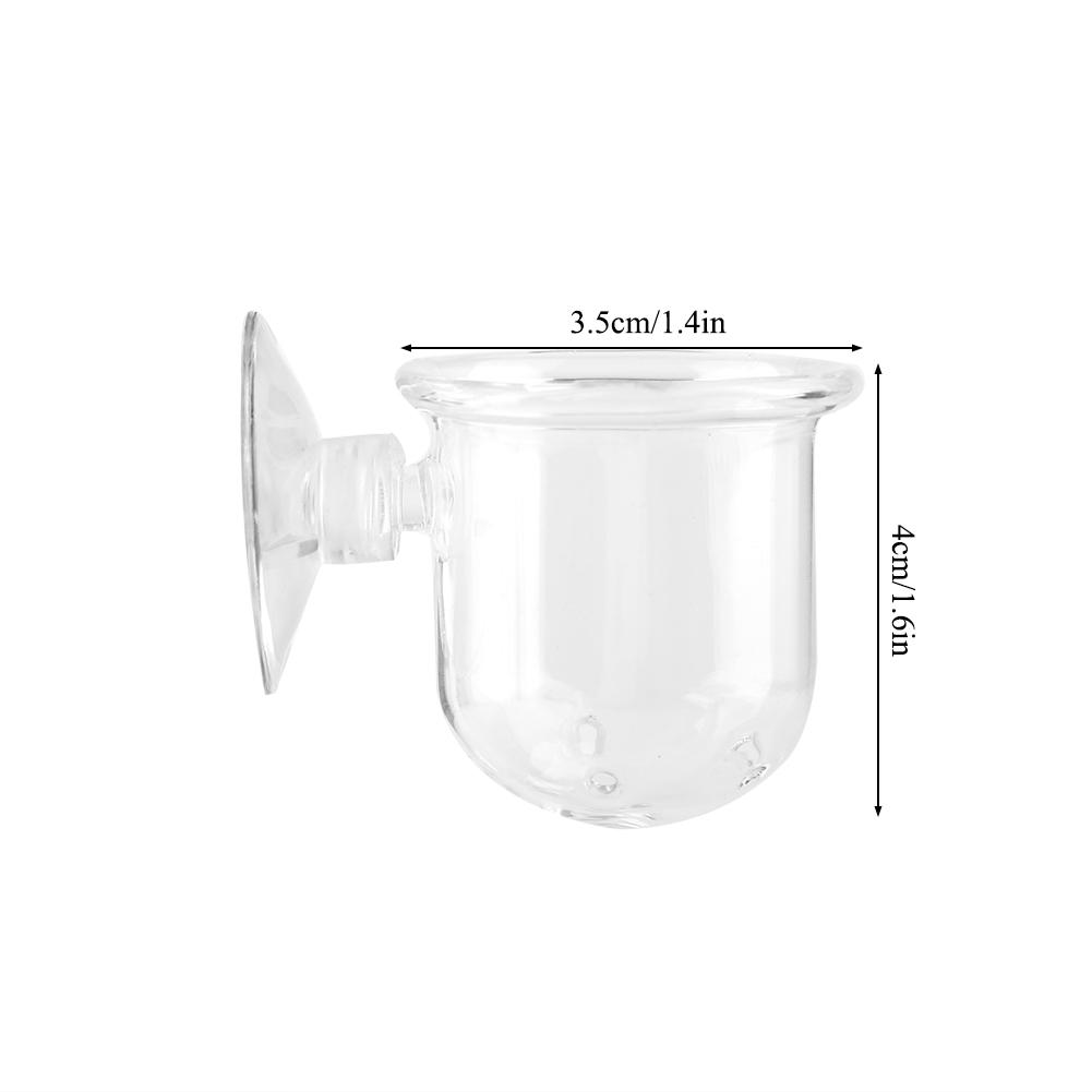 Small   Glass Plant Feeding Cup Fish Red Worm Feeder Cups for Aquarium(S)
