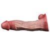 Fisis Realistic Dildo Realistic Dildos