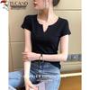 Woodpecker Women's Slim-Fit V-Neck Cotton T-Shirt