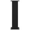 Plant Stand 2 Pcs Black 30.5 X 30 X 100.5 Cm