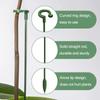 10PCS Plastics Climbing Plant Support Stakes Reusable Leaf Protection Frame  For Indoor Outdoor