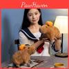 Pumpkin Capybara Plush Toy Stuffed Animal Doll Decoration Gift 30cm Collectors