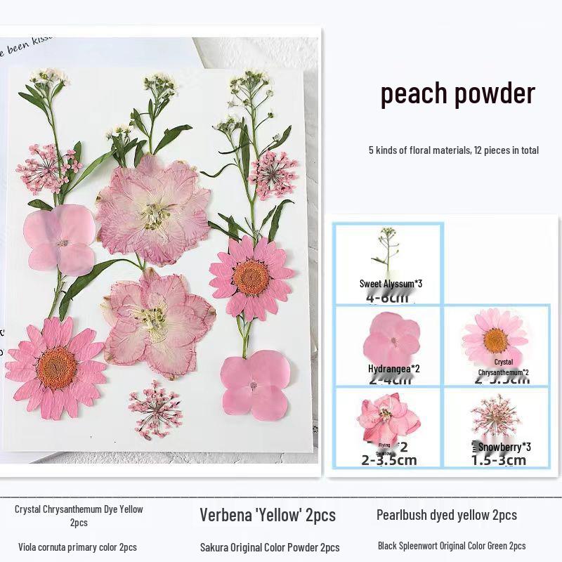Handmade Resin Pressed Flower Bookmark DIY Kit: Transparent Specimen Stickers & Dried Flowers for Students