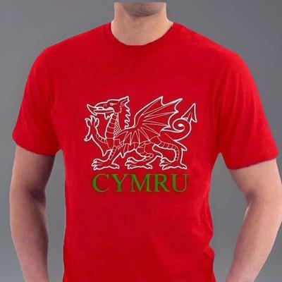 Wales T-shirt Welsh Dragon CYMRU Cotton Tee Flag Rugby Football Sillytees