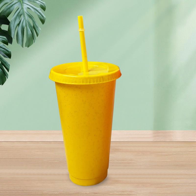 710ml Reusable Plastic Tumbler With Straw Colorful Large Capacity Cup Iced Coffee Smoothie Bubble Tea