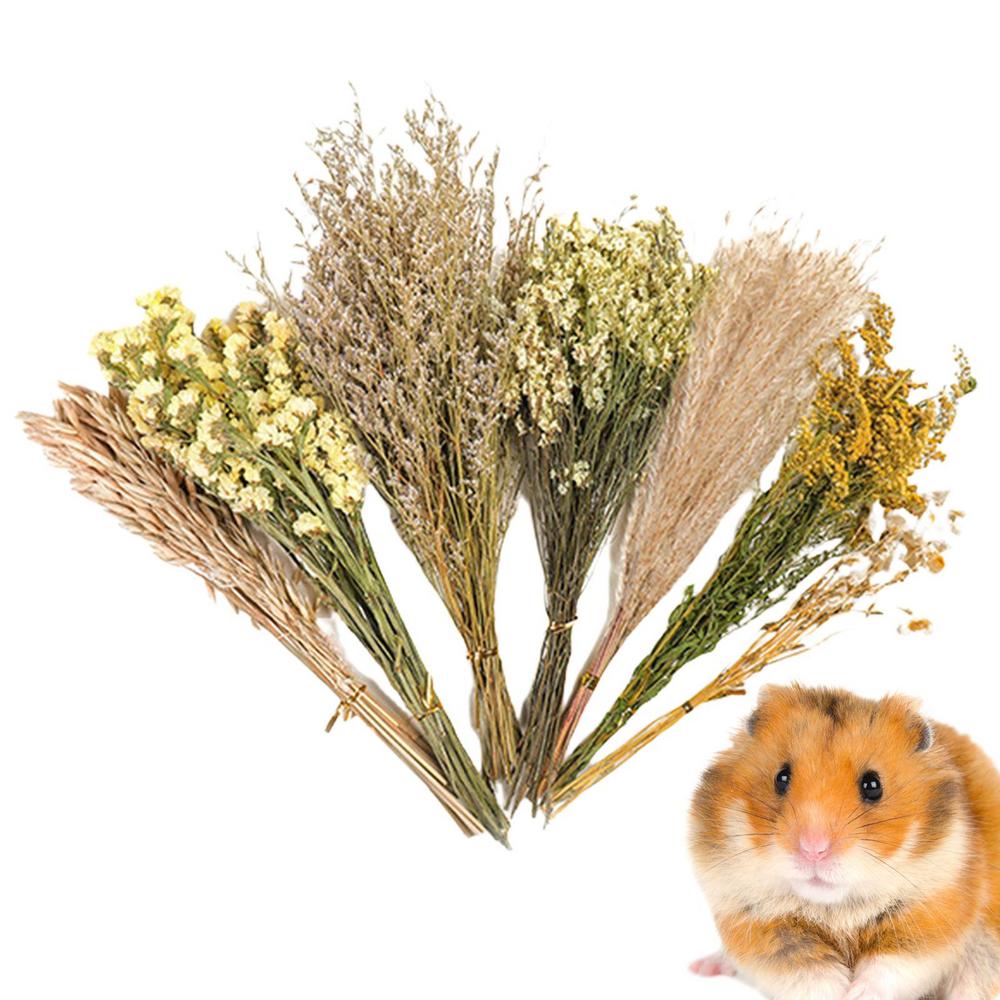 Цветочная и растительная подстилка Дезодорирующая подстилка для хомяка Гнездо для золотистого хомячка Ландшафтные материалы Сухоцветы