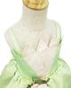 Princess and the Frog Princess Tiana Frog Princess and Frog King Floral Cosplay Event School Stage School Recital [TYHTYM] Dress, Dress, Costume,