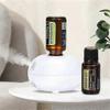 Mini Difusor de Fragrância Máquina de Aromaterapia Indução Automática Portátil Fofo para Difusor USB