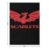 scarlets rugby Throw Blanket Nap For Decorative Sofa Stuffeds Camping Blankets