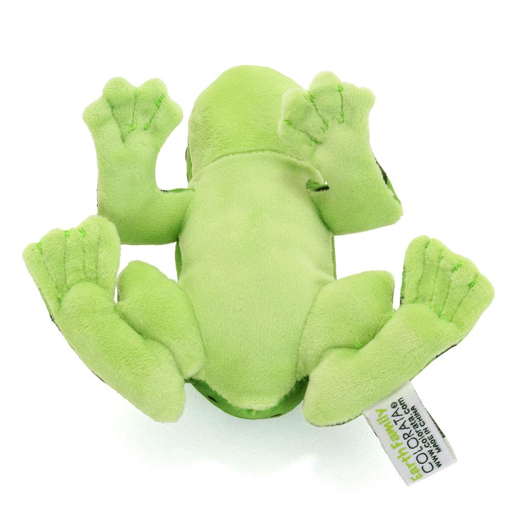 Carolata Plush Toy Mascot Okinawan Shikawa Frog (Yanbaru Creaturewith Chain) Realistic Frog Keychain Doll Gift (Twice Tested)  Christmas Present