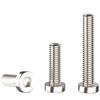 Stainless Steel Low Head Cap Screw Bolt DIN7984 (M3 M4 M5 M6 M8)
