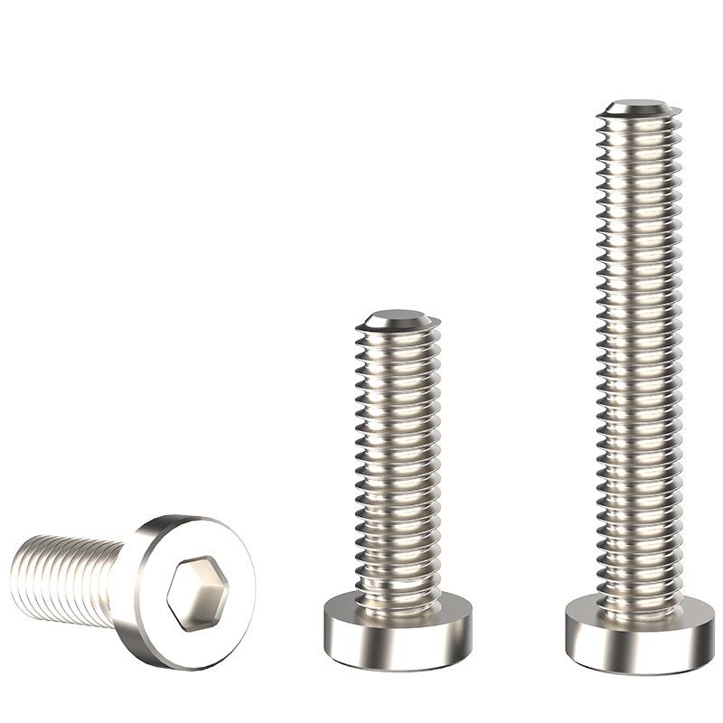 Stainless Steel Low Head Cap Screw Bolt DIN7984 (M3 M4 M5 M6 M8)