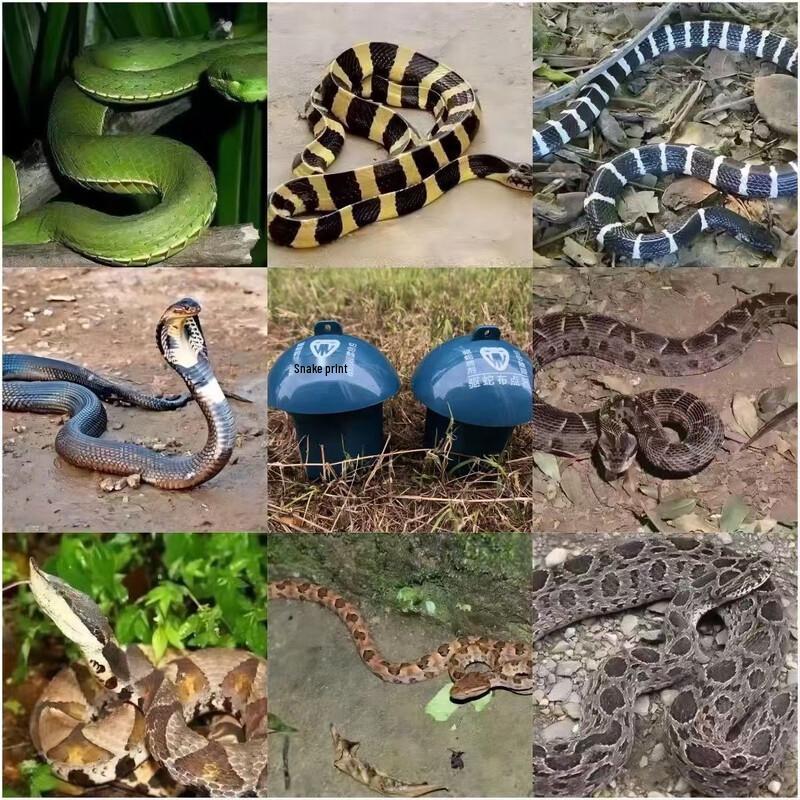 ChuRong Outdoor Garden Snake Repeller