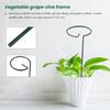 M-Modern-8PCS Beautiful Plant Support Stand Flowers Support Ring Metal Plant Support Stakes Bonsai Support Backyard Garden Tool