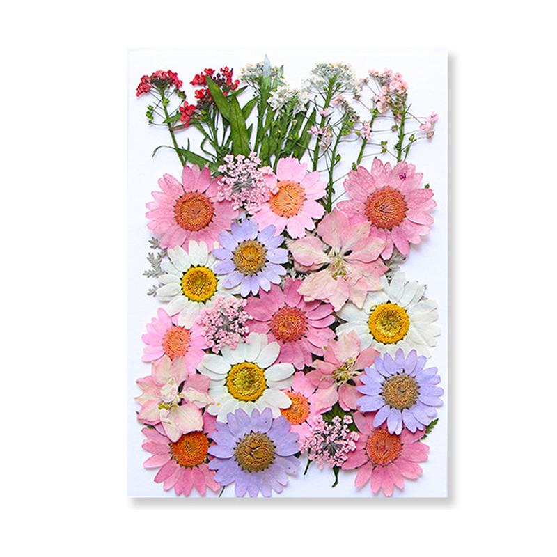 Dried Flowers Real Natural Plant Pressed Flower For Epoxy Resin Filling DIY Keychain Pendant Silicone Mold Jewelry Making Crafts