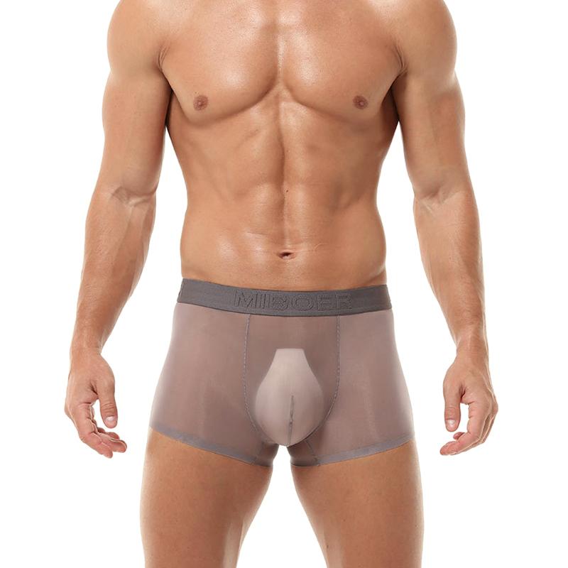 1 Stück Slips Dessous Nylon Einfarbig Unterwäsche Sexy Durchsichtig Boxer Briefs Transparentes Netzbeutel Herren