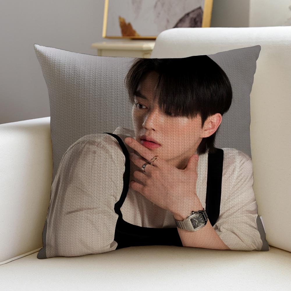 KKorean actor Song KangS Cushion Cover Breathable and skinfriendly linen pillowcase square removable and washable cushion