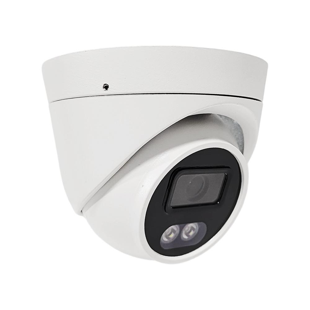 4K 8MP POE Outdoor Metal Dome Camera with Audio & Surveillance