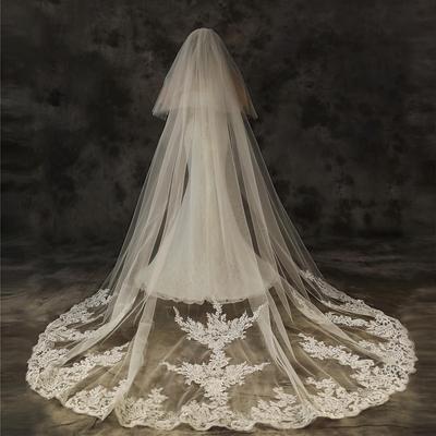 Summer Bridal Lace Edge Wedding Veil with Long Train