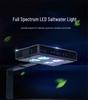 GAKO Coral Light Q2B Full Spectrum LED Clip Light for Small Saltwater and Algae Tanks