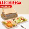 YOUAO Disposable Plates, 750ml*20 Large Kraft Paper Plates for Barbecue, Snacks, Fruits, Outdoor Picnic, And Serving