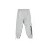 Li Ning Badfive Fleece Lined Loose Fit Knitted Sports Pants Men Bottoms Gray AKLT609-2