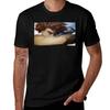 Fallen Angel (Detail) Tshirt T Shirt For Unisex 100 Percent Cotton Tshirt