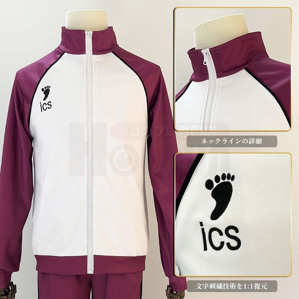 Jersey and Ikuya Cosplay Costume from Aoba Johsai High Hinata Kageyama and Sugawara Anime Halloween Uniform Christmas Cosplay [HOLOUN] Inarizaki,