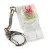 Keychain Switch Tester Gateron Ink Oil King Equalz Kiwi Switches Kailh Super Speed Silver Shaft