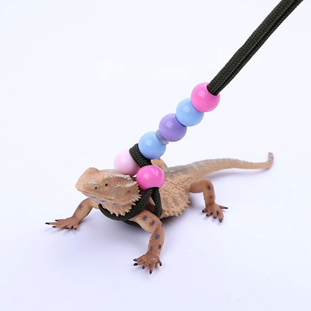 150cm Multiple Color Reptiles Leash Anti-Escape Outdoor Walking Lead Rope for Medium Large Reptiles Lizard Training