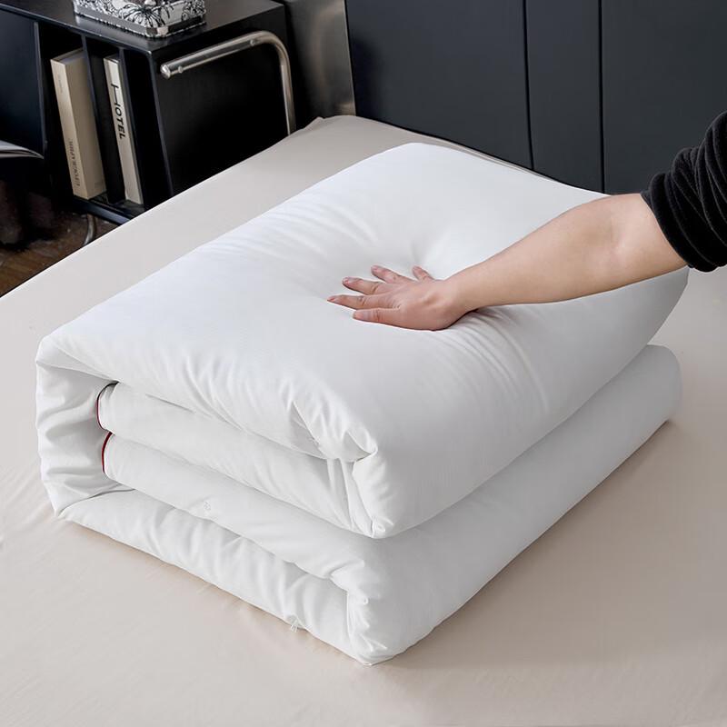 Meng Partner 100% Pure Silk All-Season Quilt