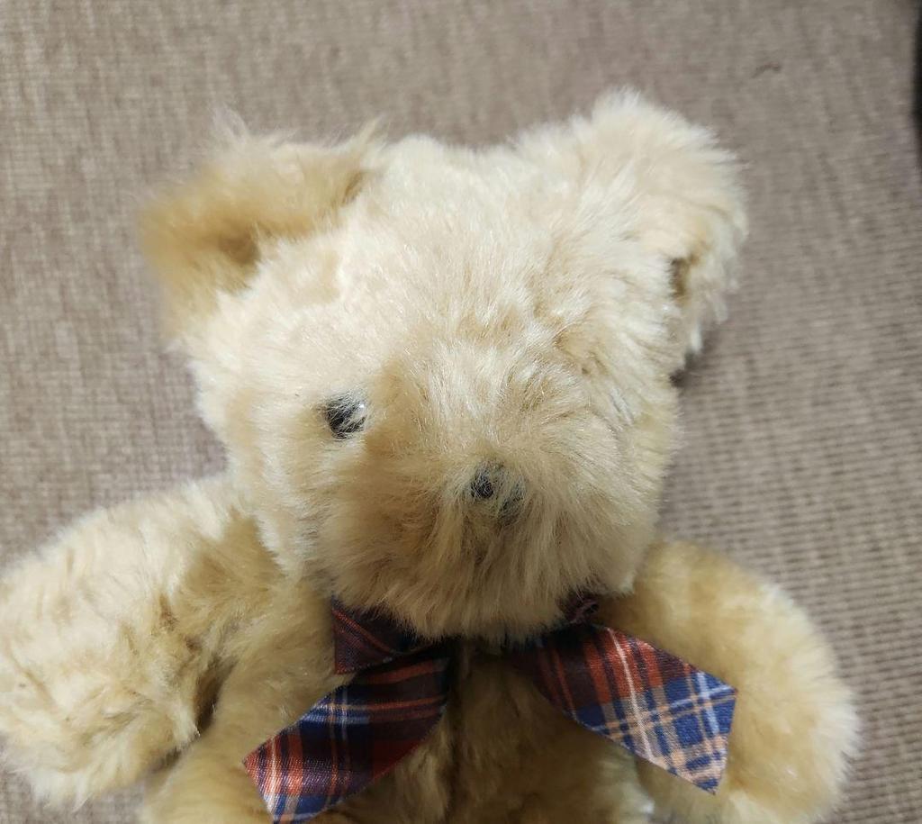 [USED] 60DESIGNED BY WING Teddy Bear Plush Toy