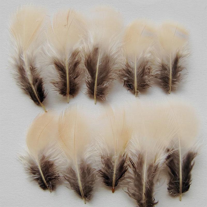 

50Pcs- NATURAL Beige &Grey Chukar Partridge Hen Feathers 3-7CM long for Craft Millinery Fly Fishing,4 models available