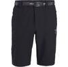 Шорты Altus Kauri K30 Shorts Черный/серый